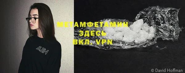 прущие грибы Нея