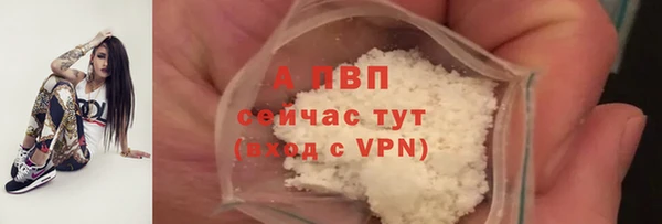 бошки Новодвинск