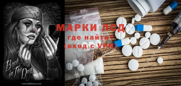 бошки Новодвинск