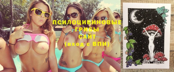 прущие грибы Нея