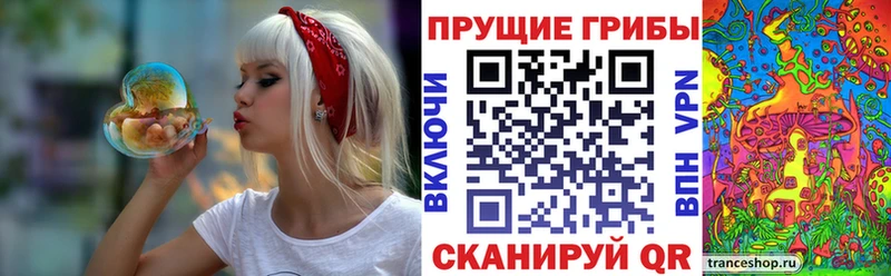 Купить  Нижние Серги  Галлюциногенные грибы Psilocybine cubensis 