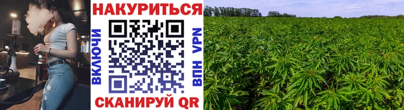 Купить  Нижние Серги  Конопля VHQ 